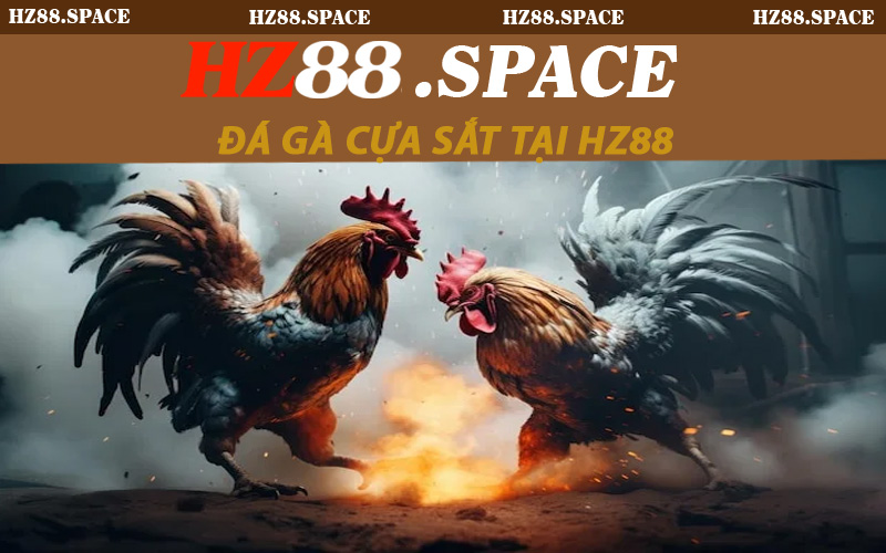 ĐÁ GÀ CỰA SẮT TẠI HZ88